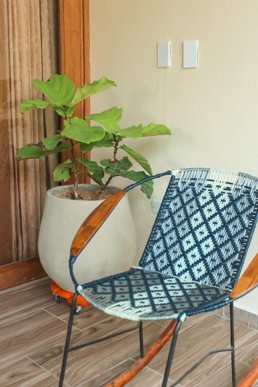 Habitación cuadruple Superior 11